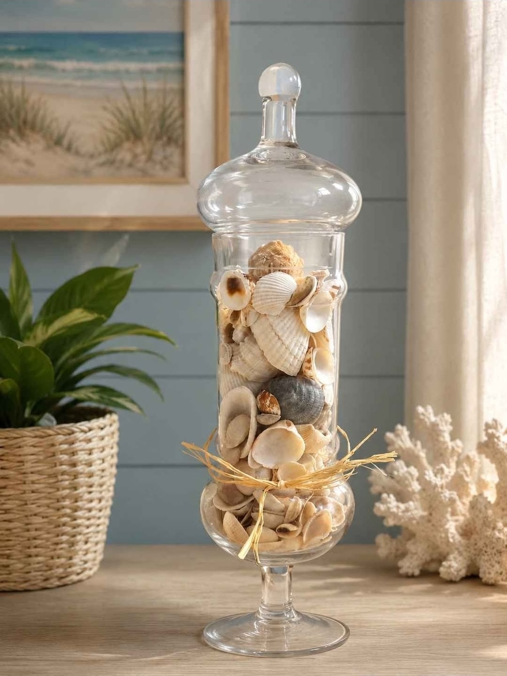 Seashells In Apothecary Jar Coastal Decor Nautical Elegant Maritimes Lake House